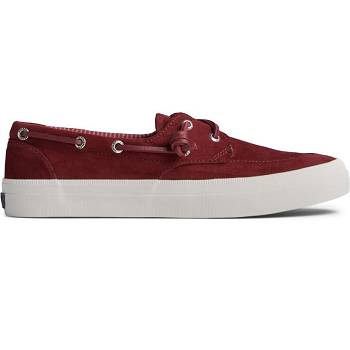 Scarpe Sperry Crest Boat Brushed Canvas - Sneakers Donna Bordeaux, Italia IT 190F